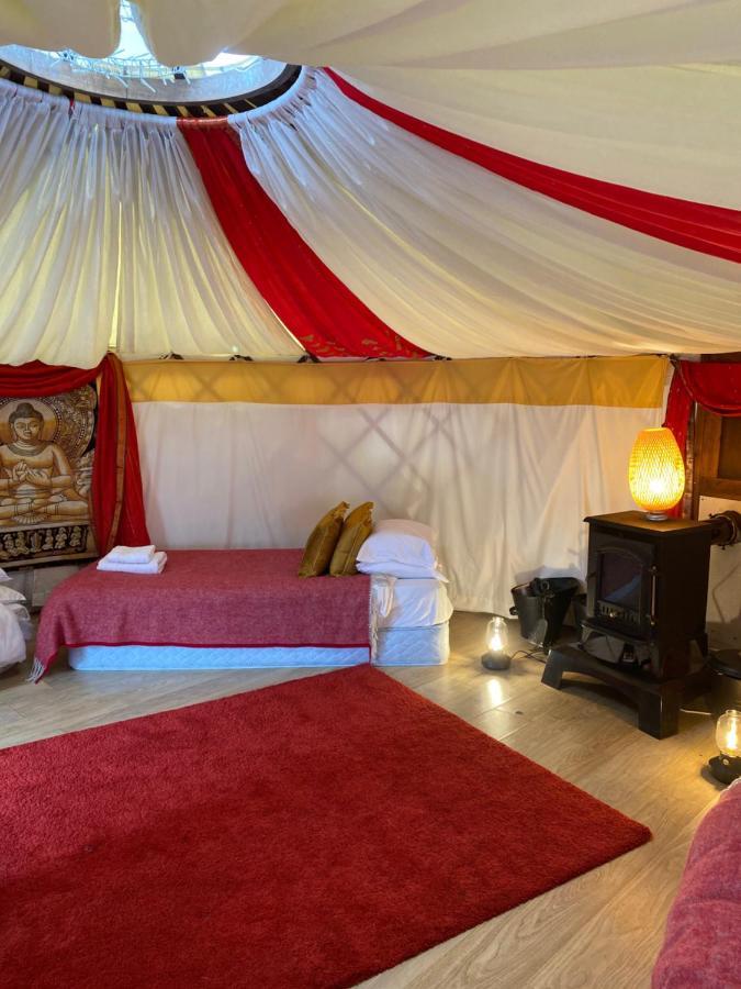 Healing Waters Sanctuary For Exclusive Private Hire And Self Catering Board, Vegetarian, Alcohol & Wifi Free Retreat In Glastonbury Bed & Breakfast Exterior photo